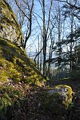 Rotenfels