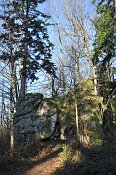 Rotenfels