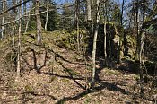 Neuaist  vrcholov st