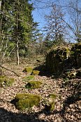 Neuaist  vrcholov st