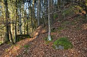 Sbnich  zpadn st