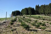 Weissenberg  v sedle pod nvrm