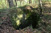 Wildenstein  cisterna