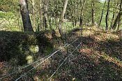 Wildenstein  prostor jdra
