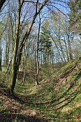 Wildenstein  pkop