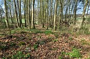Wildenstein  val