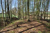 Wildenstein  val
