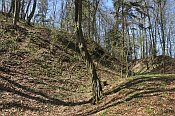 Altenburg  relif na severn stran