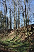 Altenburg  pkop a val na severn stran