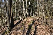 Altenburg  val na zpadn stran