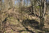 Altenburg  prostor jdra