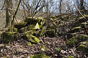 Altenburg  kamenn su v prostoru jdra