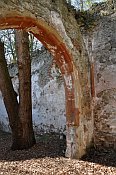 St. Ccilia Kirchenruine