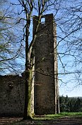 St. Ccilia Kirchenruine