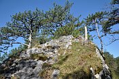 Gutenstein – skalní blok před hradem
