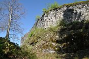 Hohenberg