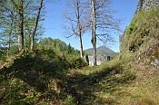 Hohenberg