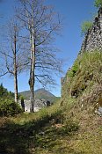 Hohenberg