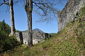 Hohenberg
