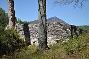Hohenberg