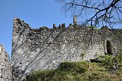 Hohenberg