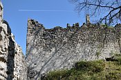 Hohenberg