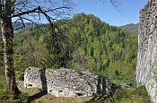 Hohenberg