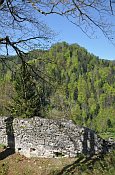Hohenberg