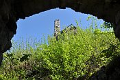 Hohenberg