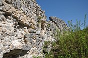 Hohenberg