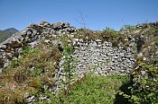 Hohenberg