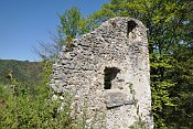 Hohenberg