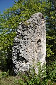 Hohenberg
