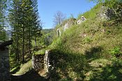 Hohenberg