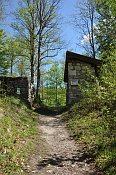 Hohenberg