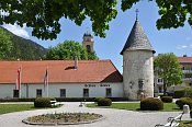 Reichenau