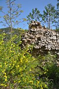 Schrattenstein