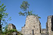 Reinsberg