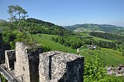 Reinsberg