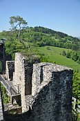 Reinsberg