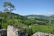 Reinsberg