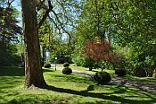 Ernegg – park u zámku