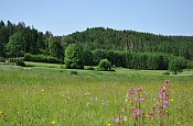 Burgleiten  hradn vrch od SV