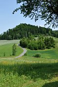 Anschau  hradn vrch od jihu