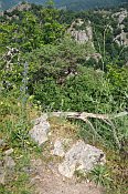 Tabor (Vorburgruine)