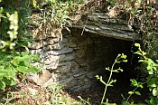 Tabor (Vorburgruine)