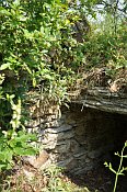Tabor (Vorburgruine)