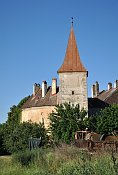 Starrein