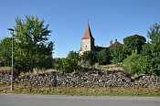 Starrein