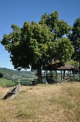 Schonenburg  Schnberg